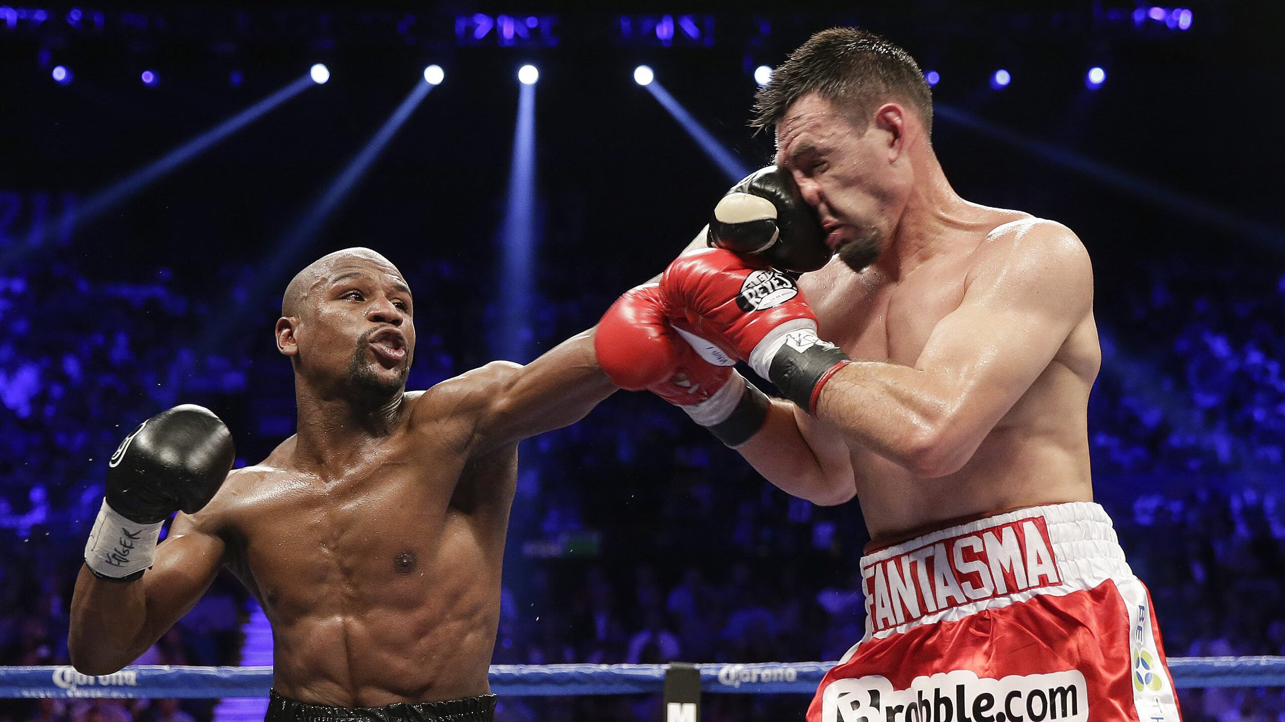 场馆绿色环保建设理念深入推广，绿色场馆含义