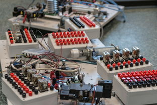 数字化转型：青训系统中的大数据应用，数字化转型_青训系统中的大数据应用有哪些