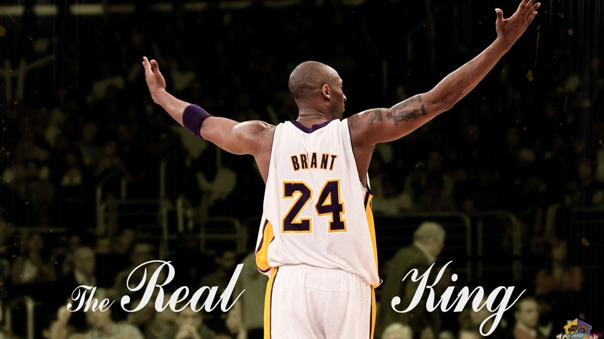 普劳德：50米蝶泳讲究极致节奏，五十米蝶泳记录