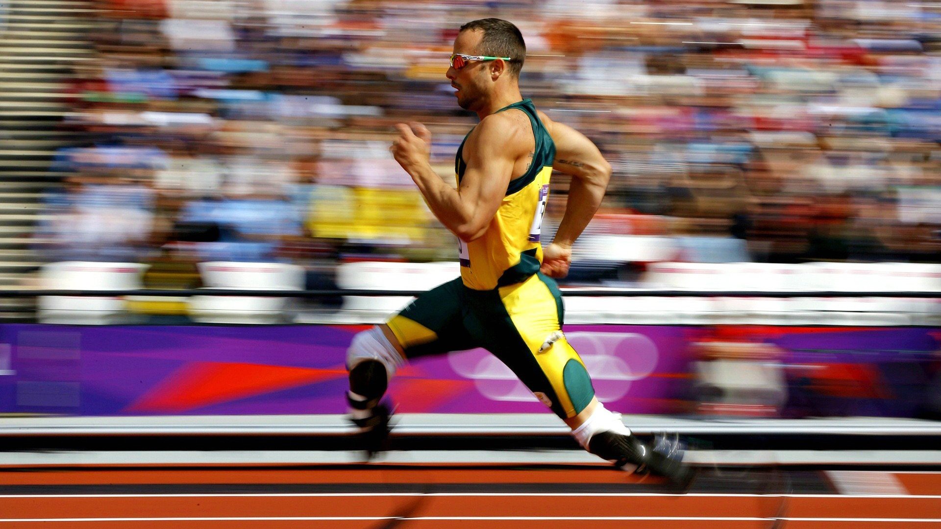 苏炳添出席国家体育科学交流大会，苏炳添体育教授